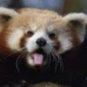 Meet your Posher, Mocha